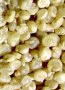 Quinoa